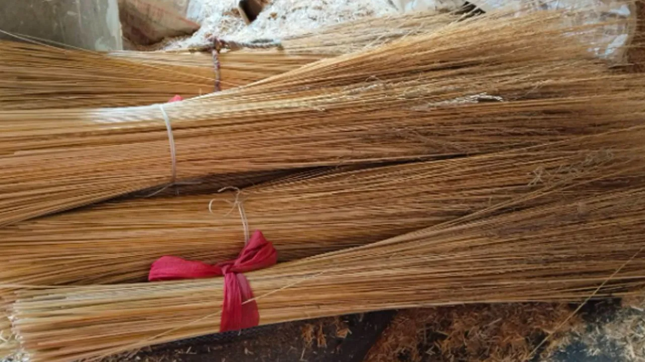 घर में भूलकर भी इस दिशा न रखें झाड़ू, नहीं तो माता लक्ष्मी हो जाएंगी नाराज, आएगी दरिद्रता