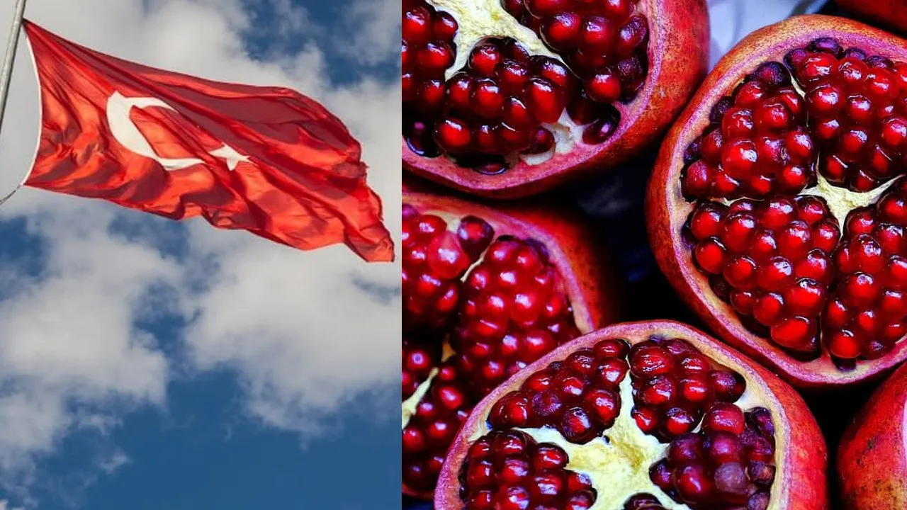 तुर्की में नए साल पर अनार क्यों फोड़ा जाता है? क्या है इसके दानों के साथ कनेक्शन?