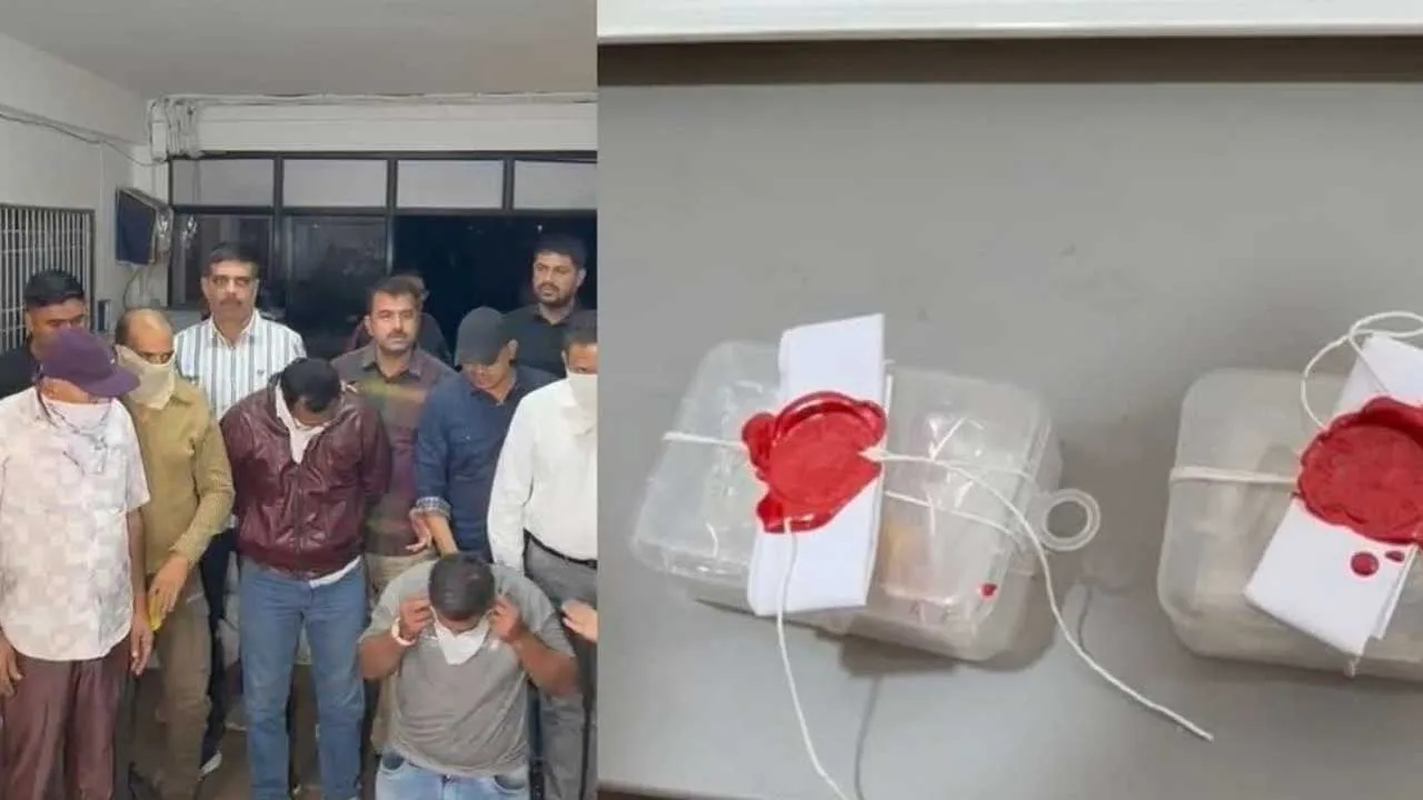 कोबरा सांप का जहर…कीमत इतनी कि सुनकर चौंक जाएंगे, 6.5ml जहर की 9 करोड़ रुपये में हुई थी डील; सात लोग गिरफ्तार