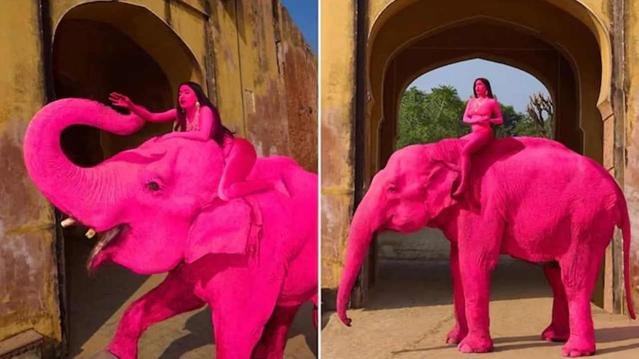 क्या जयपुर में गुलाबी रंग के कारण हाथी ने खोई थी जान? मॉडल को बैठाकर रूसी फोटोग्राफर ने किया था फोटोशूट