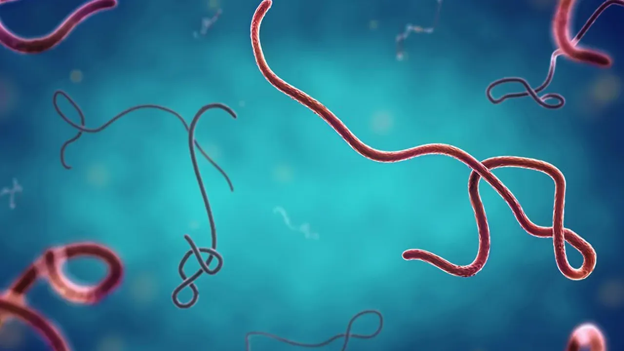 ebola21 
