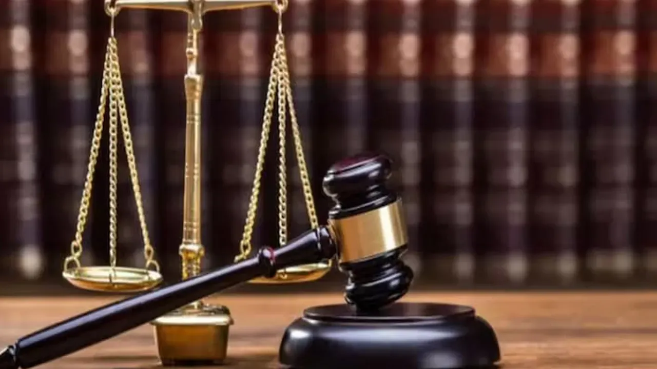 judge1 (1) 