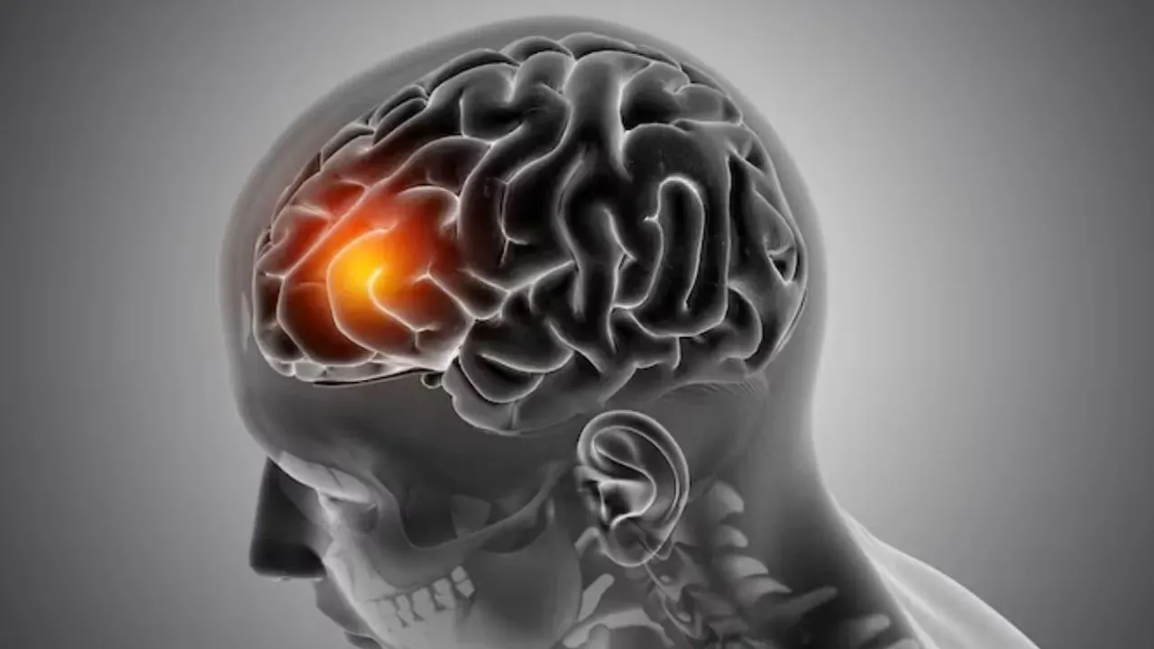 reels-affects-brain2