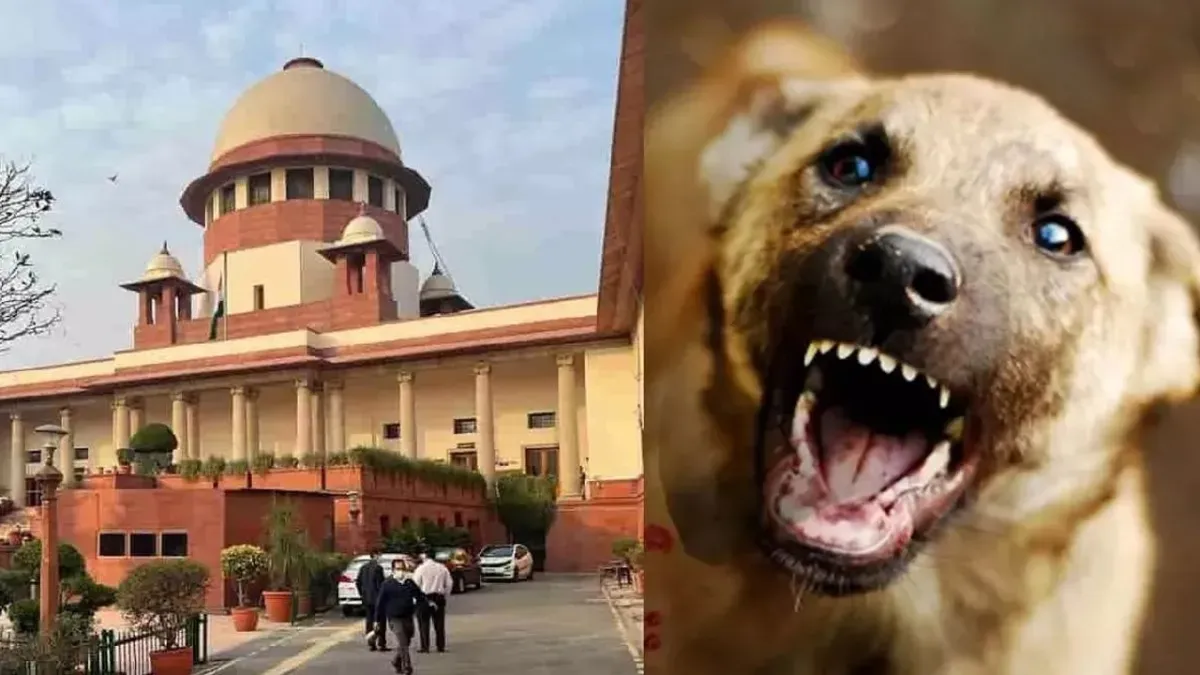 कुत्ता प्रेमियों को बड़ा झटका! सुप्रीम कोर्ट बोला- 'खतरनाक कुत्तों को इंजेक्शन लगाओ', आदेश न मानने पर होगी कार्रवाई