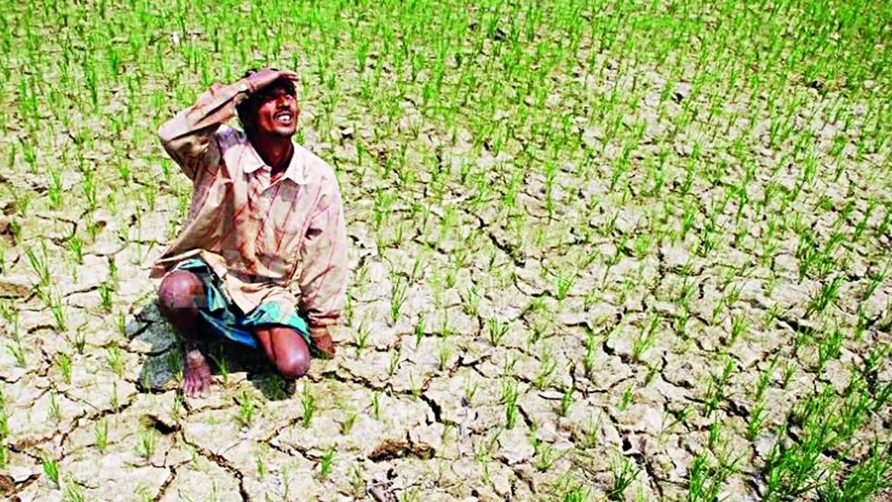 भारत में क्यों मंडरा रहा है सूखे का खतरा, देश के लिए कितना बड़ा है यह खतरा, सरकार क्यों है चिंतित? जानिए हर सवाल के जवाब