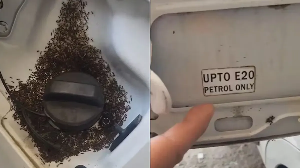  क्या E20 पेट्रोल की वजह से टंकी पर चींटियां? वायरल वीडियो पर BPCL ने दी सफाई, बताया पूरा सच