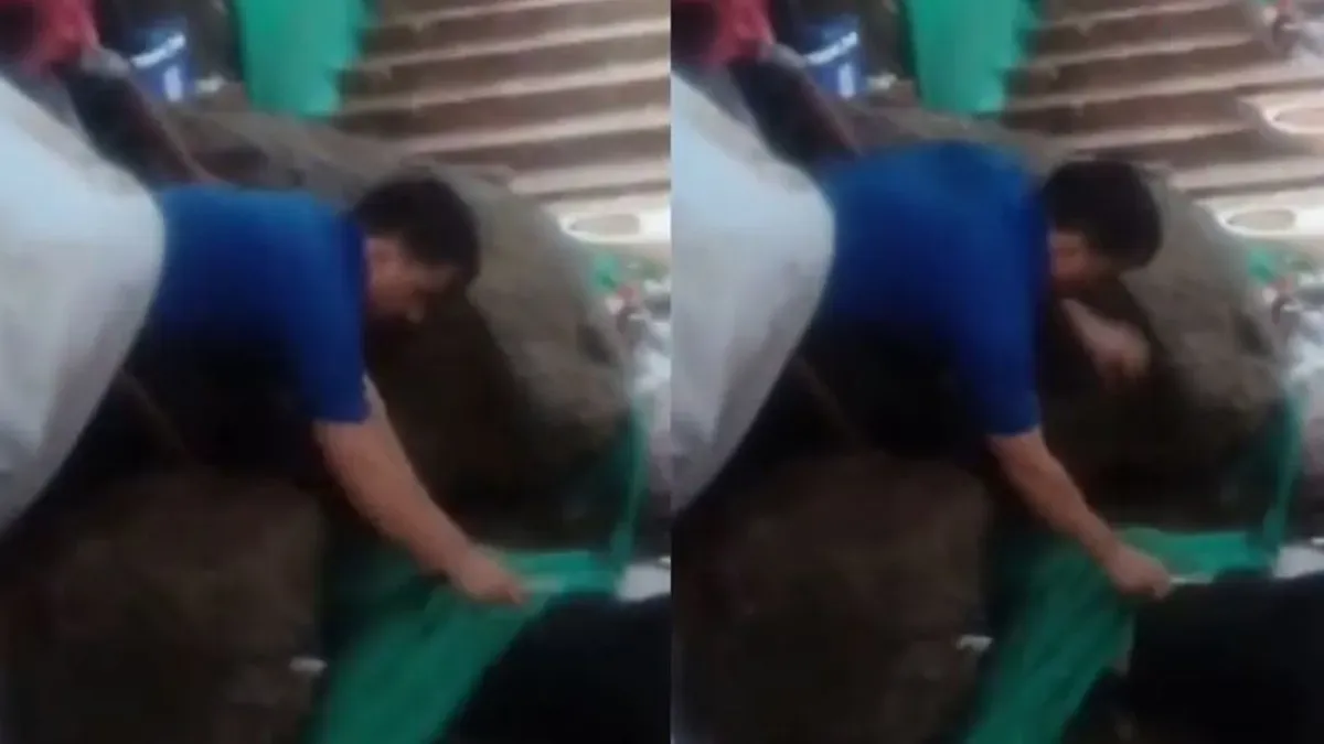 पावागढ़ पहाड़ी पर बड़ा हादसा: चट्टानें गिरने से 7 श्रद्धालु दबे, 2 की मौत