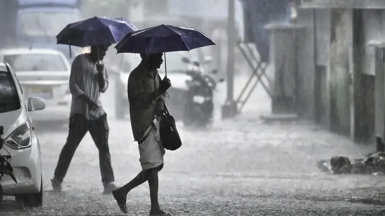 rain3 