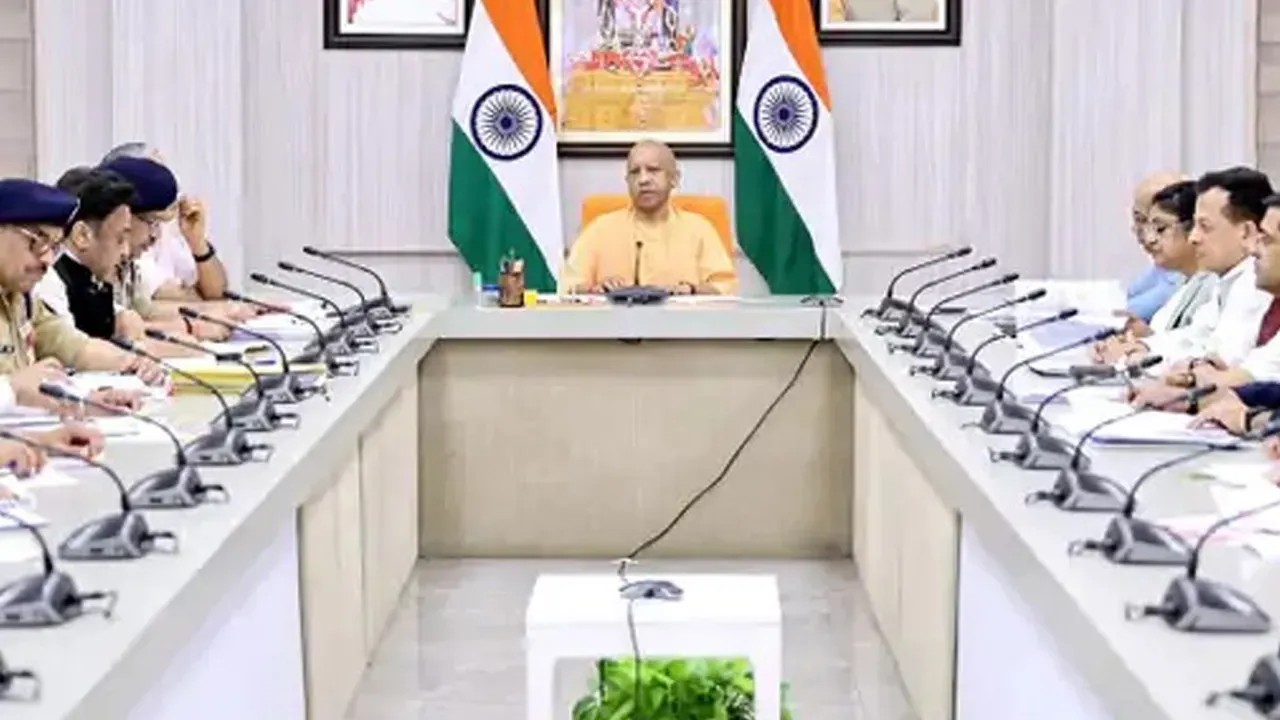 yogi 