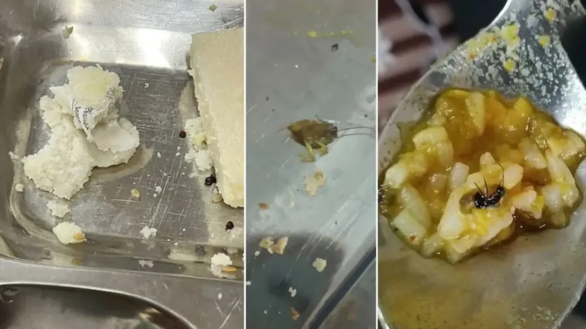 भावनगर की समरस हॉस्टल के खाने में कीड़े-कॉकरोच निकलते हैं, पानी नहीं मिलता, छात्राएं सड़क पर उतरीं...