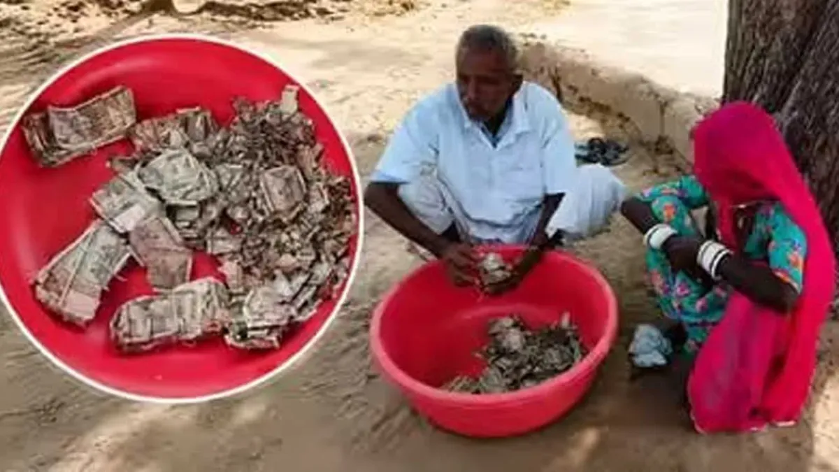 चोरों से बचाने के लिए किसान ने रु. 5 लाख रुपये खेत में गाड़ दिए, नोटों में दीमक लग गई