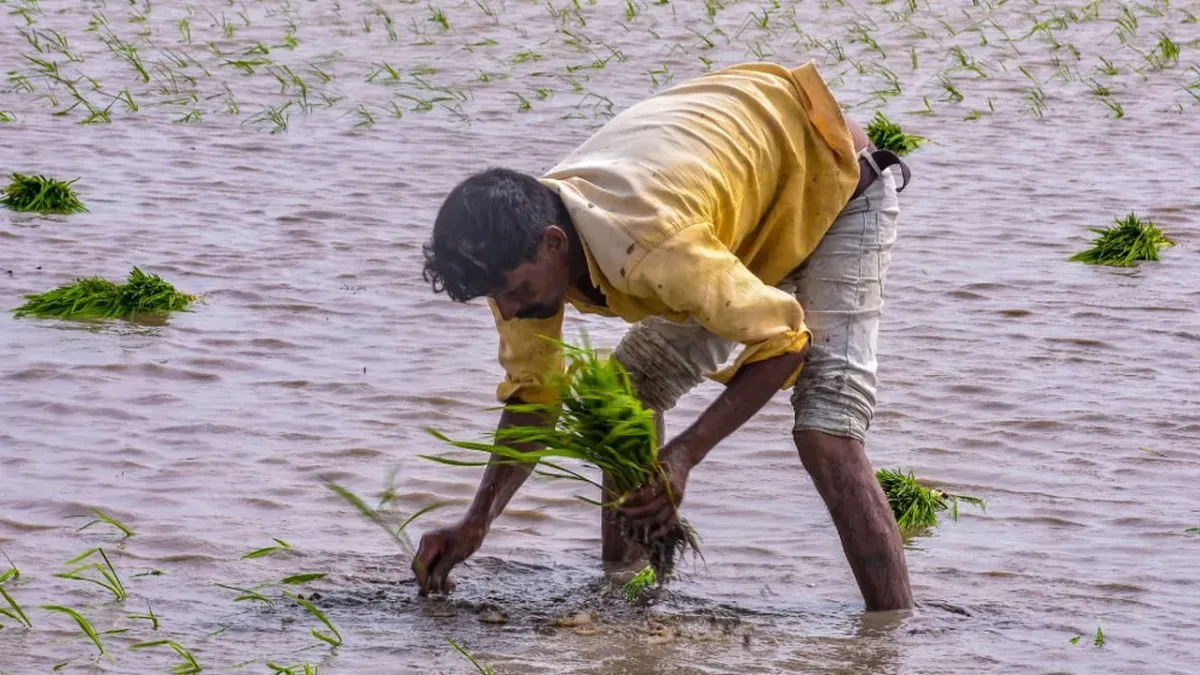 मेघराजा के विराम से किसान परेशान, बोले- 10 घंटे बिजली के बावजूद कुएं में सिंचाई लायक पानी नहीं