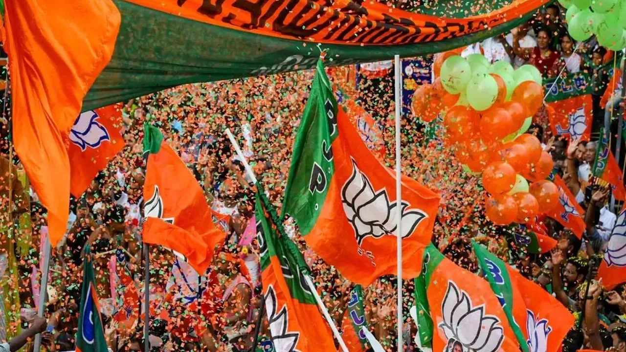 bjp1 