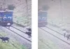 हॉर्न मारने पर नहीं हटी भैंस, तो लोको पायलट ने कुछ ऐसा तरीका निकाला