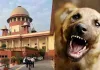 कुत्ता प्रेमियों को बड़ा झटका! सुप्रीम कोर्ट बोला- 'खतरनाक कुत्तों को इंजेक्शन लगाओ', आदेश न मानने पर होगी कार्रवाई