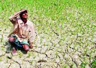 भारत में क्यों मंडरा रहा है सूखे का खतरा, देश के लिए कितना बड़ा है यह खतरा, सरकार क्यों है चिंतित? जानिए हर सवाल के जवाब