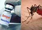 भारत को मिली पहली डेंगू वैक्सीन, अब 4 से 60 साल तक के लोगों को मिलेगी सुरक्षा; DCGI ने दी मंजूरी