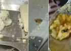 भावनगर की समरस हॉस्टल के खाने में कीड़े-कॉकरोच निकलते हैं, पानी नहीं मिलता, छात्राएं सड़क पर उतरीं...