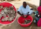 चोरों से बचाने के लिए किसान ने रु. 5 लाख रुपये खेत में गाड़ दिए, नोटों में दीमक लग गई