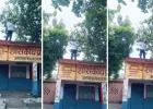 शिक्षकों के लिए E-Attendance ऐप पर हाजिरी लगाना सिरदर्द बना, नेट की समस्या के कारण स्कूल की छत पर चढ़ रहे हैं!