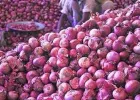 महंगाई की जबरदस्त मार…पहले चीनी और अब प्याज ने बिगाड़ा लोगों का बजट, 60-70 रु. किलो पहुंचा दाम, कीमत कब कम होगी?