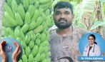 पिता की कैंसर से मौत के बाद सूरत के बेटे ने छोड़ी रासायनिक खेती, प्राकृतिक खेती से बन गए मिसाल