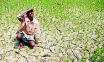 भारत में क्यों मंडरा रहा है सूखे का खतरा, देश के लिए कितना बड़ा है यह खतरा, सरकार क्यों है चिंतित? जानिए हर सवाल के जवाब
