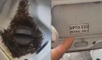  क्या E20 पेट्रोल की वजह से टंकी पर चींटियां? वायरल वीडियो पर BPCL ने दी सफाई, बताया पूरा सच