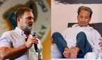 सोनम वांगचुक की भूख हड़ताल से राहुल गांधी क्यों हैं दूर? जानिए इस बारे में कांग्रेस का क्या कहना है?