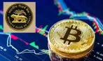 क्रिप्टो पर RBI का बड़ा अलर्ट, बताया देश के लिए खतरा