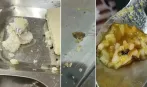 भावनगर की समरस हॉस्टल के खाने में कीड़े-कॉकरोच निकलते हैं, पानी नहीं मिलता, छात्राएं सड़क पर उतरीं...