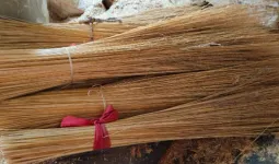 घर में भूलकर भी इस दिशा न रखें  झाड़ू, नहीं तो माता लक्ष्मी हो जाएंगी नाराज, आएगी दरिद्रता