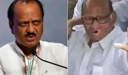 क्या महाराष्ट्र नगर निगम चुनावों में सत्ता के लिए NCP फिर से एक होने जा रही है?