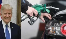 क्या पेट्रोल की कीमतें 100 के पार जाएंगी? ट्रंप की वजह से दाम बढ़ने की हो रही है चर्चा
