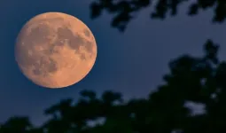 साल का पहला चंद्रग्रहण आज, मंदिरों के कपाट बंद, सूतक की वजह से गुजरात में होली कल खेली जाएगी