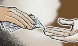 मिलावट और भ्रष्टाचार मिलकर गुजरात को बर्बाद करने पर तुले हैं