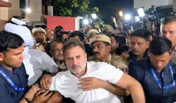 सुबह कूच, शाम को धरना और रात में हिरासत और FIR... राहुल के मेगा विरोध प्रदर्शन में क्या-क्या हुआ?