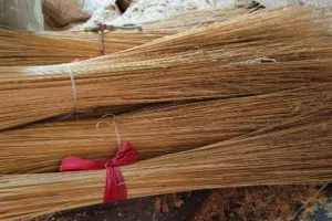 घर में भूलकर भी इस दिशा न रखें  झाड़ू, नहीं तो माता लक्ष्मी हो जाएंगी नाराज, आएगी दरिद्रता