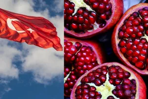 तुर्की में नए साल पर अनार क्यों फोड़ा जाता है? क्या है इसके दानों के साथ कनेक्शन?