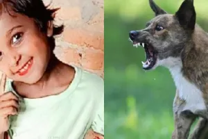 संभल में खूंखार कुत्तों का तांडव, 9 साल की मासूम की जान ले ली, हाथ काटकर ले गए कुत्ते