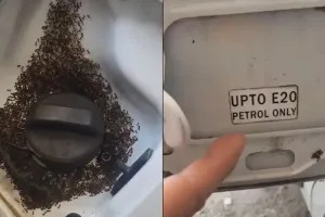  क्या E20 पेट्रोल की वजह से टंकी पर चींटियां? वायरल वीडियो पर BPCL ने दी सफाई, बताया पूरा सच