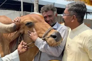 कम बारिश से चिंतित किसान 'सद्भावना बैल आश्रम' में छोड़ रहे हैं अपने बैल, 8 ही दिनों में 1000 के करीब बैलों की बढ़ोतरी हुई, रोने...